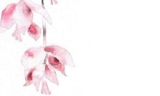 2023年2月7日适合店铺开业吗 店铺开张好吗