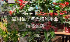 应用镜子与光增添事业情感运势