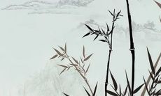 2023年2月1日适合开业吗 是不是黄道吉日