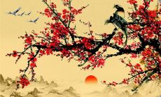 2023年2月15日情人节适合开业吗 是不是黄道吉日