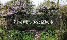 如何调剂办公室风水