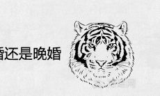 98年属虎女早婚还是晚婚 最佳结婚年龄多大