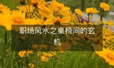 职场风水之桌椅间的玄机