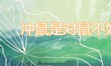 冲鼠是对鼠不好吗 如何化解