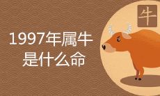 1997年属牛的是什么命 五行属水还是属火