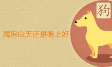 属狗白天还是晚上好 几点出生大富大贵命