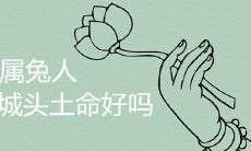 1999年属兔人城头土命好吗 几月出生大富大贵