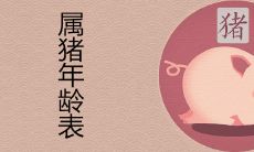 属猪的今年多大 2022年龄查询表
