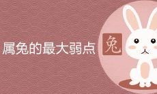属兔的最大弱点是什么 如何化解转运