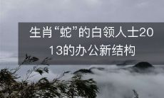 生肖“蛇”的白领人士2013的办公新结构