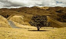 办公桌的风水禁忌 办公桌有什么风水事项