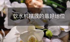 饮水机摆放的最好地位