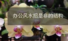 办公风水招是非的结构