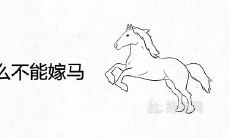 猴女为什么不能嫁马 在一起婚姻怎么样