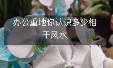 办公重地你认识多少相干风水