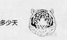 男虎女蛇真的不能在一起吗 婚姻配对结局怎么样