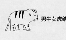 男牛女虎结婚能到老吗 婚姻相配吗