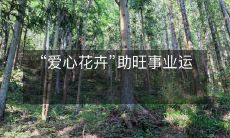 “爱心花卉”助旺事业运