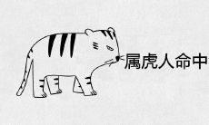 属虎人命中注定的另一半