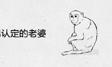 属猴男认定的老婆生肖及类型