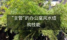 “主管”的办公室风水结构技能