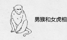 男猴和女虎相冲严重吗 婚姻最终结局如何