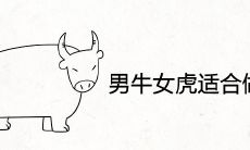 男牛女虎适合做夫妻吗 婚姻相配合不合