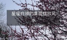 星座白领的桌面摆放风水