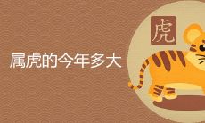 属虎的今年多大 2022年龄表查询详解