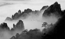 2023年下半年哪天出行最好 出行黄道吉日分析