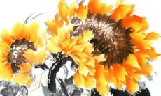 2022年2月份适合出行的吉利日期 本月出行佳日