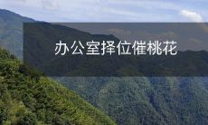 办公室择位催桃花