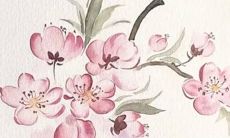 2023年1月19日宜外出游玩吗 出行日子好吗