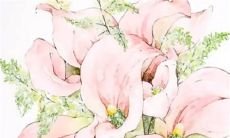 2023年1月20日大寒出行吉利吗 远游日子查询