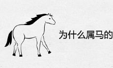 为什么属马的不能嫁马 婚姻合不合