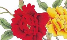 2022年生肖属鼠9月最佳开工复工吉日 老黄历查询