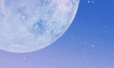 2023年生肖狗犯太岁吗 2023犯太岁列表