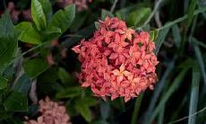 2023年属马人与谁合作是最好的