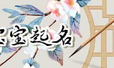 兔年生的周姓男孩取名 2023新生男儿大气起名