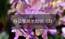 办公室风水知识（3）