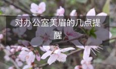 对办公室美眉的几点提醒