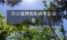 办公室颜色影响事业运势