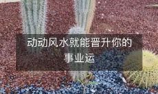 动动风水就能晋升你的事业运