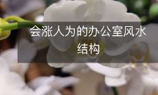 会涨人为的办公室风水结构