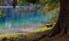 生肖马该如何运用转运小技巧来提升自己的事业运气