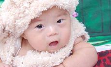 属兔的取名最佳用哪些字 八字取名中和为贵