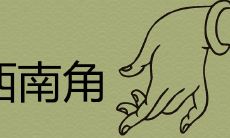 西南角放什么旺财旺风水