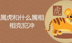 属虎的和什么属相相克犯冲