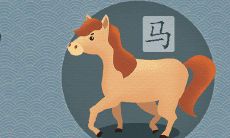 父母属马孩子属鼠好吗 属相相冲会有怎样的后果