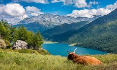 坐办公室门口好不好 办公室最好的位置在哪里